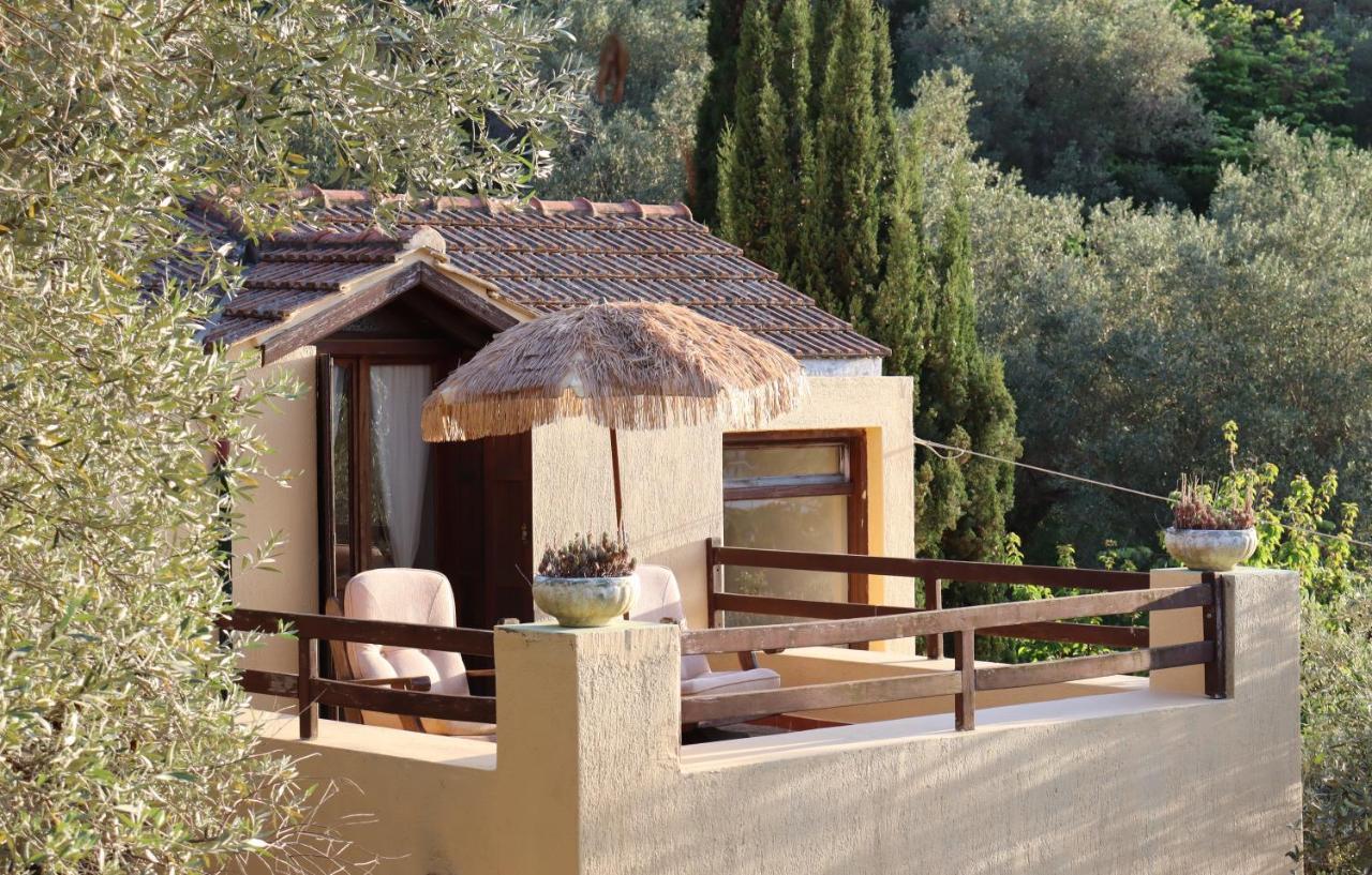 Olive Yard House Holiday home *